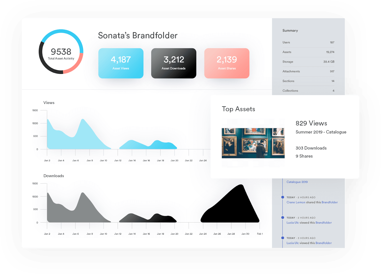 brand formats measure