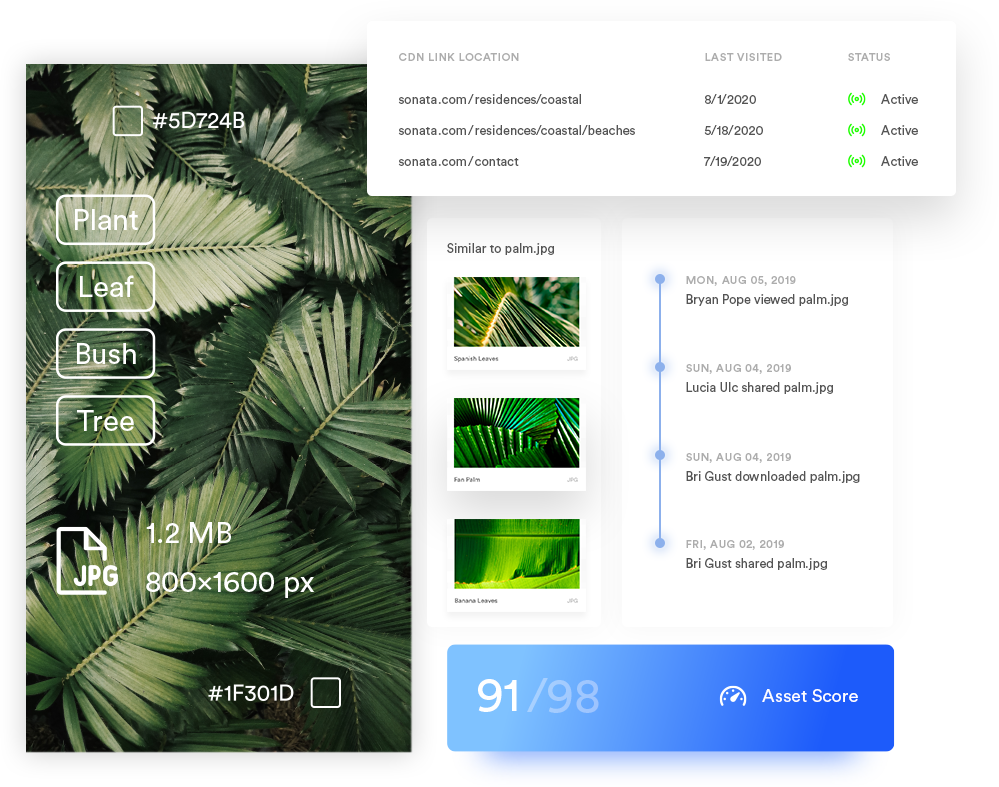 Image overview of Brandfolder Brand Intelligence