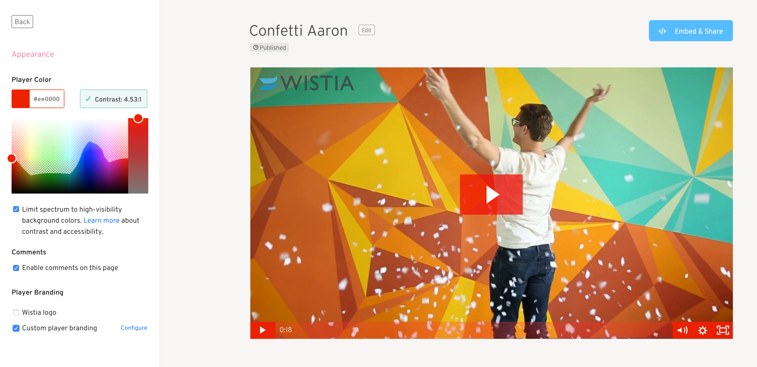 Wistia Video Branding